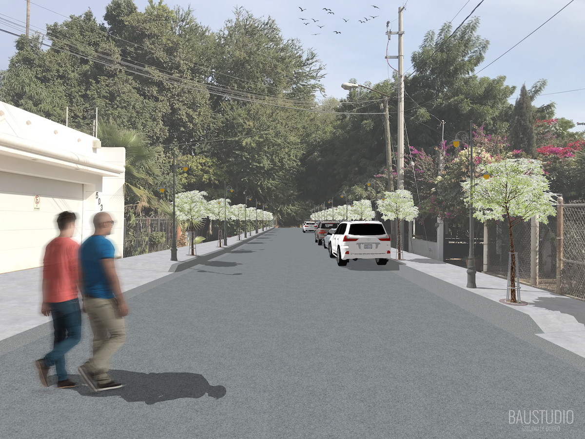 Calle Mario Camelo