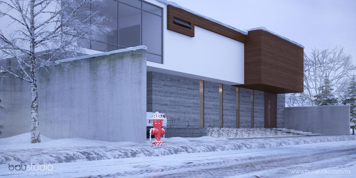 Winter House